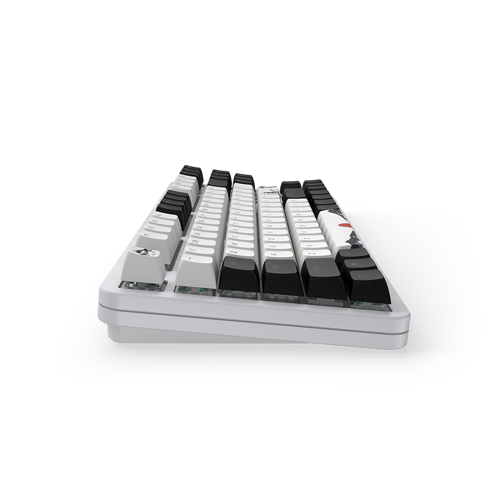 Dark Project ALU87 Fuji 2, G3MS Sapphire Switch, RU