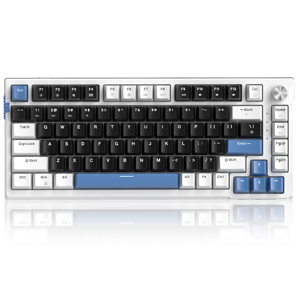 Magegee SKY81 White-Black B, RGB, Wireless, Blue Whale Switch, US