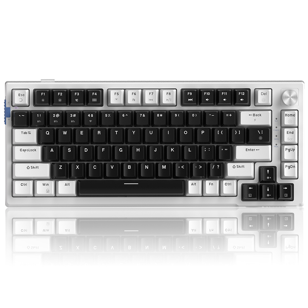 Magegee SKY81 White-Black B, RGB, Wireless, Blue Whale Switch, US
