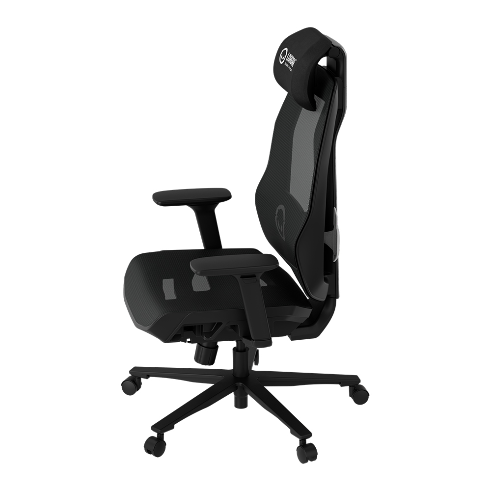 Lorgar Pro CHP51 Mesh, Black - White